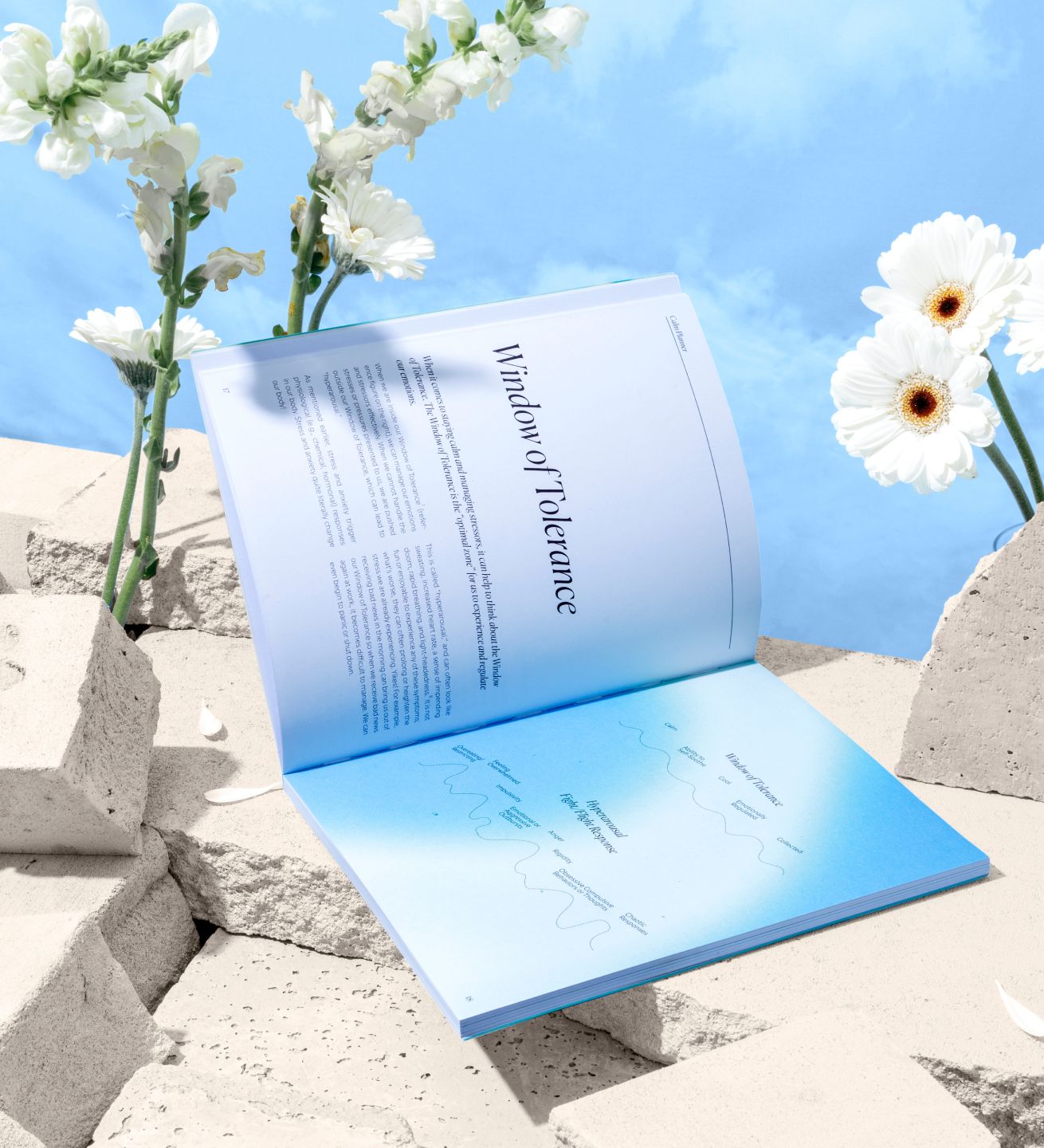 The Calm Planners