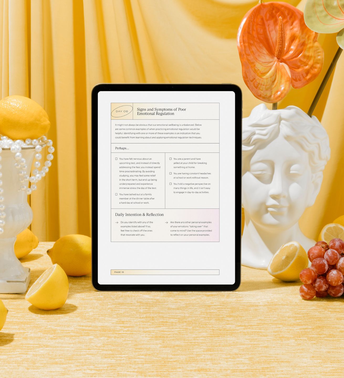 The Emotions Journal (Digital Download)