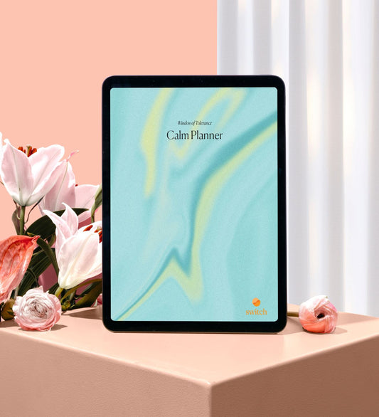 Calm Planner - Window of Tolerance (Digital Download)