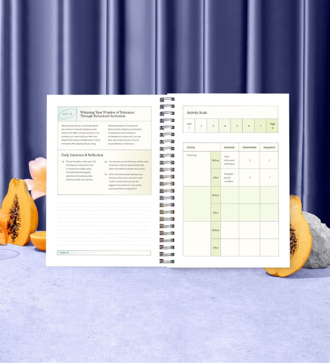 The Emotions Journal - Replo Edit